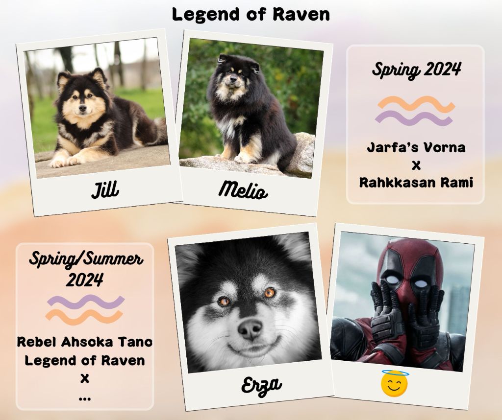 Legend Of Raven - Portées 2024