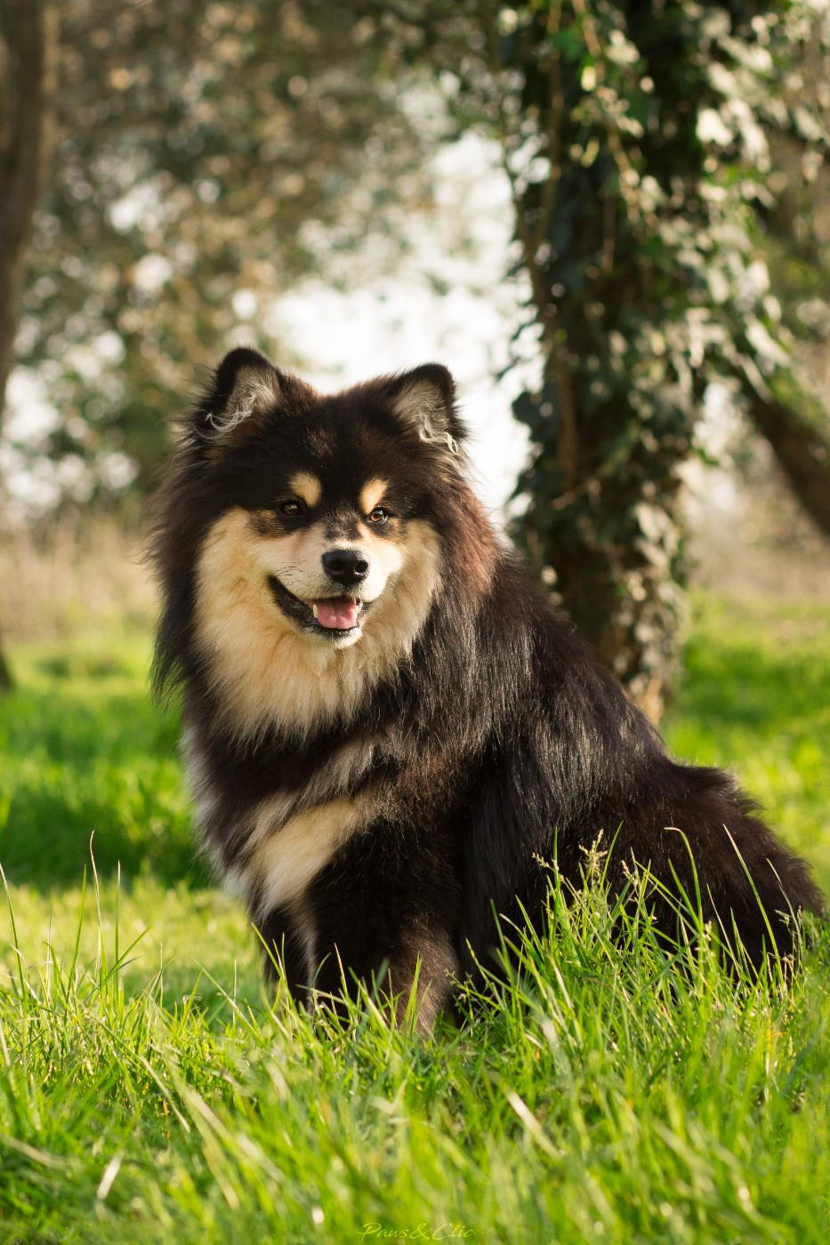 breaking the rules Kids in America