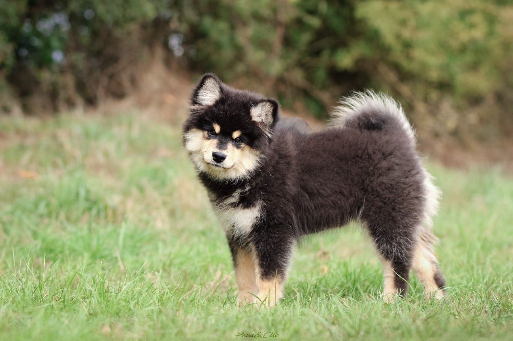 breaking the rules Kids in america